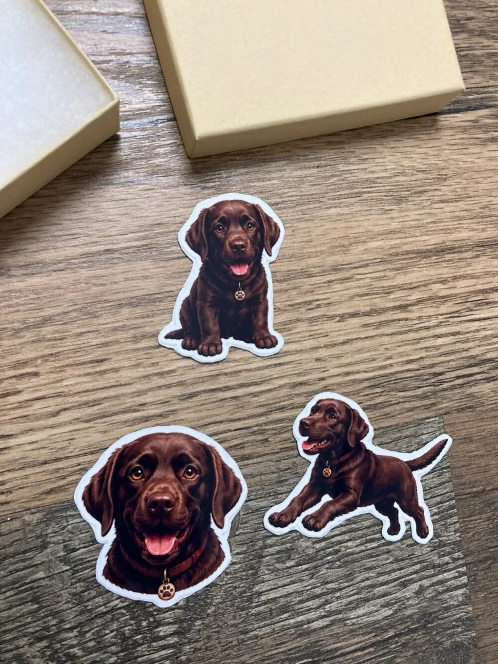 3 Chocolate Labrador Retriever Dog Magnets Puppy Fridge Refrigerator Decor Gift